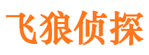 武清市调查公司